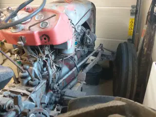 Ferguson 135 3cyl d