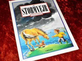 Et stormvejr, Karen Borch,