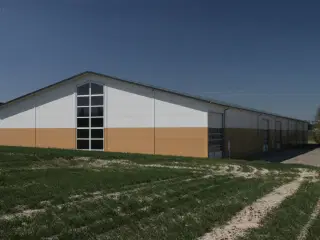 Stor og meget anvendelig isoleret lager/produktions-hal.