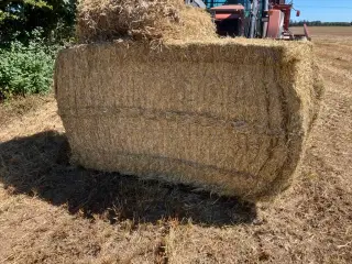Byghalm super kvalitet