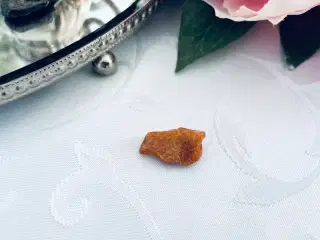 Rav 