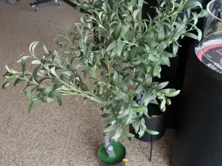 Kunstig plante i krukke SPEEDTSBERG