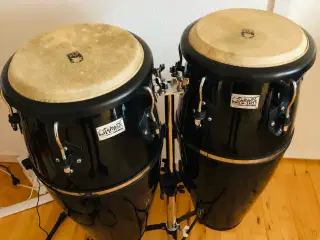 Kongas