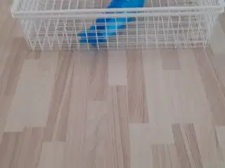 Trådkurve med glideskinner til 80 cm skab