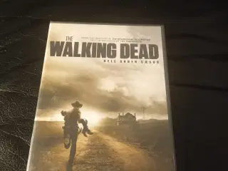 Walking Dead 4 disc 