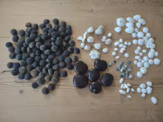 Snegle/muslinger til akvarie, plantekultur