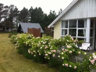 Udlejes i skoleferien, 4000 kr plus forbrug