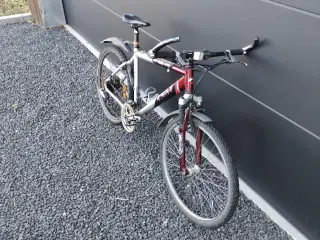 Mountainbike herre