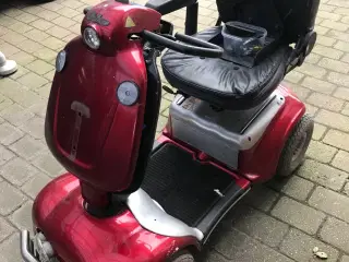 El scooter