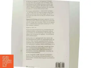 Opgaveskrivning - eller kunsten at bygge en båd af Mathias Grüttner (Bog)