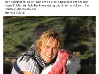 Søger kalkun til veganer hjem