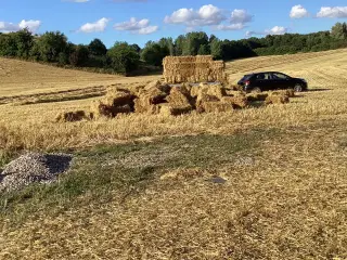 Små vårbyg halmballer