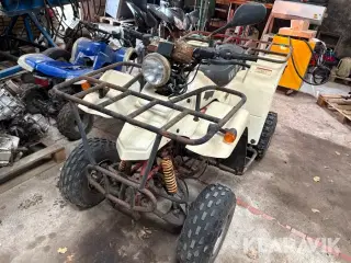 Atv Blueberry