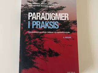 Paradigmer i Praksis