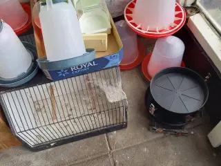 Diverse tilbehør til fugle