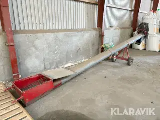 Kornsnegl Hutchinson - 6.5 m