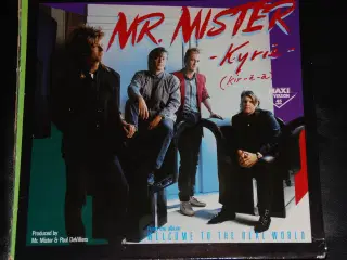 MR. MISTER & Paul DeVilliers