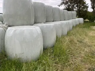 Heste wrap