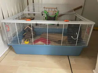 Republik afsked Med det samme hamsterbur | Bur | GulogGratis - Billig bur til salg - Brugte og nye bure  købes og sælges online