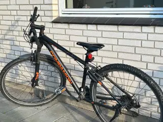 Mountainbike 