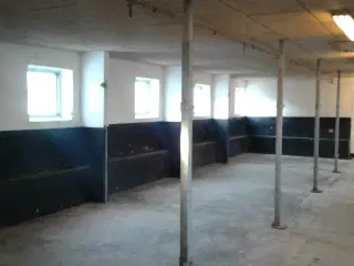 Meget regulært lokale på 168m2 med eget toilet & tekøkken