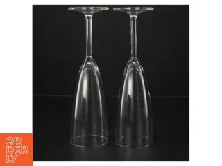 Champagneglas (str. 21 cm)