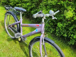 Pigecykel
