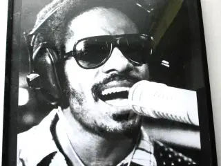 Perfekt Gave ! - Stevie Wonder Billed