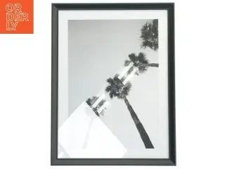 Indrammet billede af palmetræer fra IKEA (str. 42,5x32,5 cm)