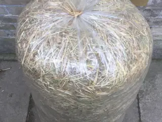 Hø