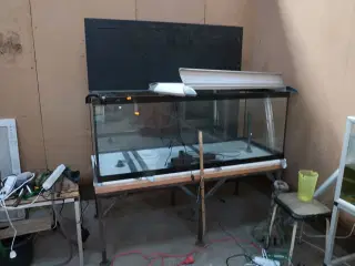 Akvarie på stel