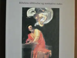 kanon - bibelens tilblivelse og normative status, 