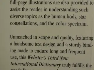 webster's third new international dictionary of th