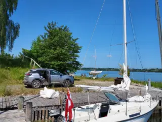 Sejlbåd 