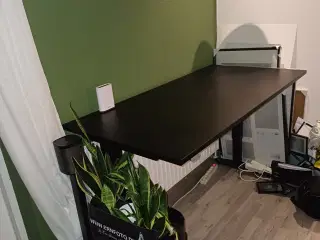 Hæve/sænkebord 