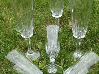 Franske champagne glas