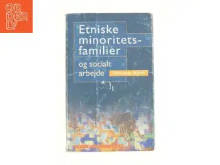 Etniske minoritetsfamilier og socialt arbejde af Marianne Skytte (Bog)