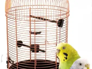 Helt Nyt Fuglebur Med Tilbehør