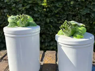 Porcelæns krukkrt
