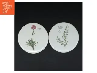 Flora Danica tallerkener (str. 2 styk. ø. 15,5 cm)