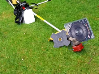 Buskrydder