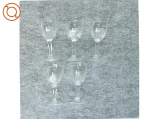 KrystalGlas snaps (str. 11 x 5 cm)