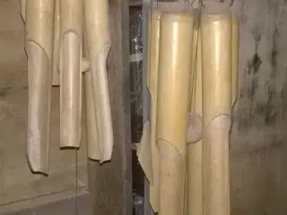 Bambus Uro