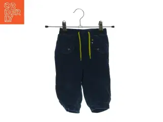 Fløjlsbukser fra Ketchoun (str. 9 mdr)