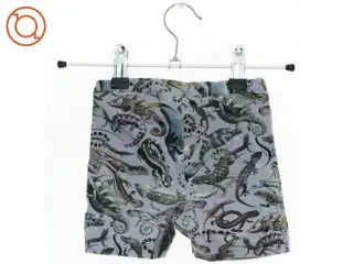 Shorts fra Molo (str. 80 cm)
