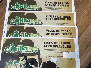 Billet til gorilla park Svendborg/Vejle