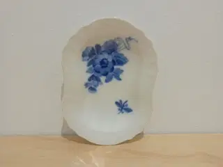 Blå blomst svejfet asiet