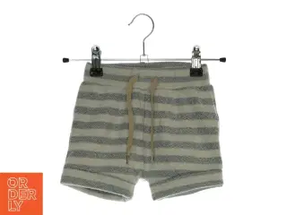 Shorts fra Molo (Str. 86)