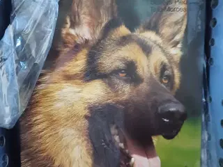 Puslespil