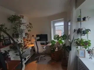 Billig andelsbolig i skønne Lindholm